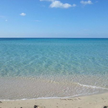 Casa Gialla Mare Del Salento مارودجو المظهر الخارجي الصورة